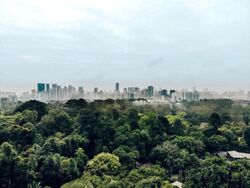 Tanglin Hill (D10), Detached #460822291